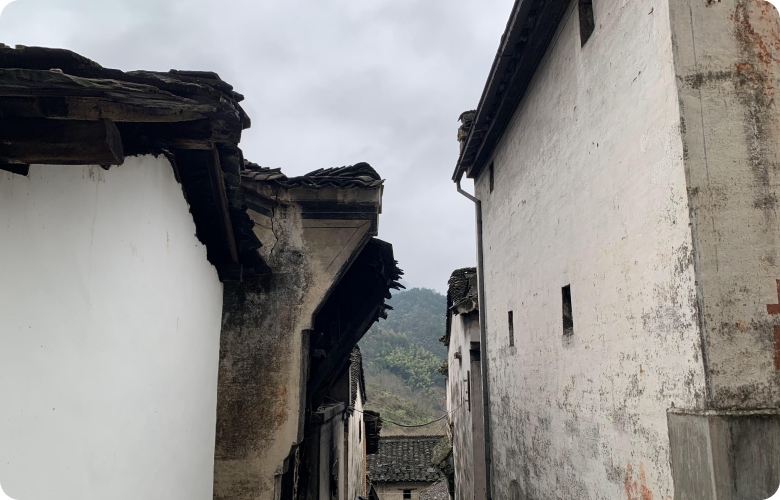 滨江集团