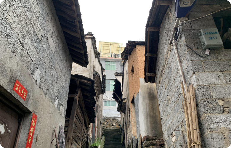 滨江集团