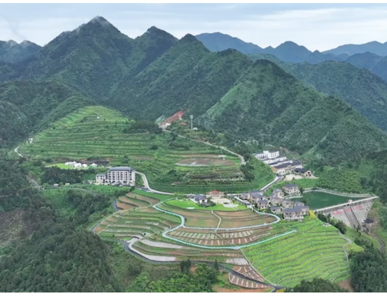 滨江集团